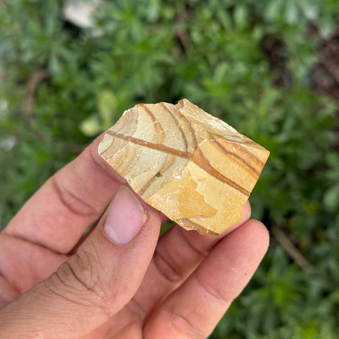 Natural Wood Grain Jasper Roug - Jewelry Making Raw Materials avaliação e preço